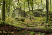 Oerbos, Luxemburg