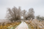 Winter landschap, Huissen