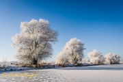 Winter landschap, Huissen