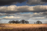 Wolken, Nederland
