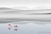 Zoutmeer met Flamingo's - Salt lake with Flamingos Zoutmeer met Flamingo's - Salt lake with Flamingos