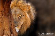 Je kan me niet zien - You cann't see me Je kan me niet zien - You cann't see me