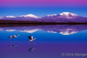 Zoutmeer met Flamingo's - Salt lake with Flamingos Zoutmeer met Flamingo's - Salt lake with Flamingos
