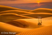 De eenzame Oryx - The lonely Oryx De eenzame Oryx - The lonely Oryx
