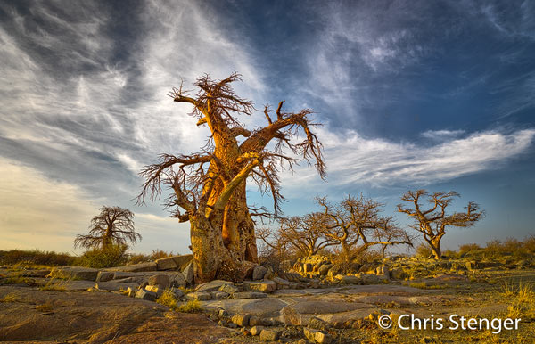 De granietrotsen en de grillig gevormde Baobabs geven Kubu eiland een buitenaards aanzien. Mamiya 645DF met PhaseOne 35mm f/3.5 en Leaf digitale achterwand, ISO80 1/60sec bij f/11 vanaf statief