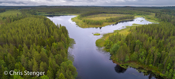 Panorama opname van het boreale woud in het oosten van Finland gefotografeerd met een drone