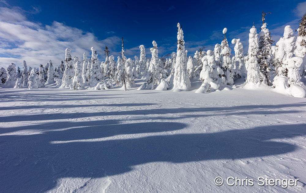 Ruka is een skigebied een kilometer of 30 ten noorden van Kuusamo, maar behalve skipistes vind je er ook een fraai natuurreservaat waar je kan wandelen en fotograferen in een ongerept winters landschap. Canon 5DsR met 14mm objectief, iso100 1/500sec bij f/9,0