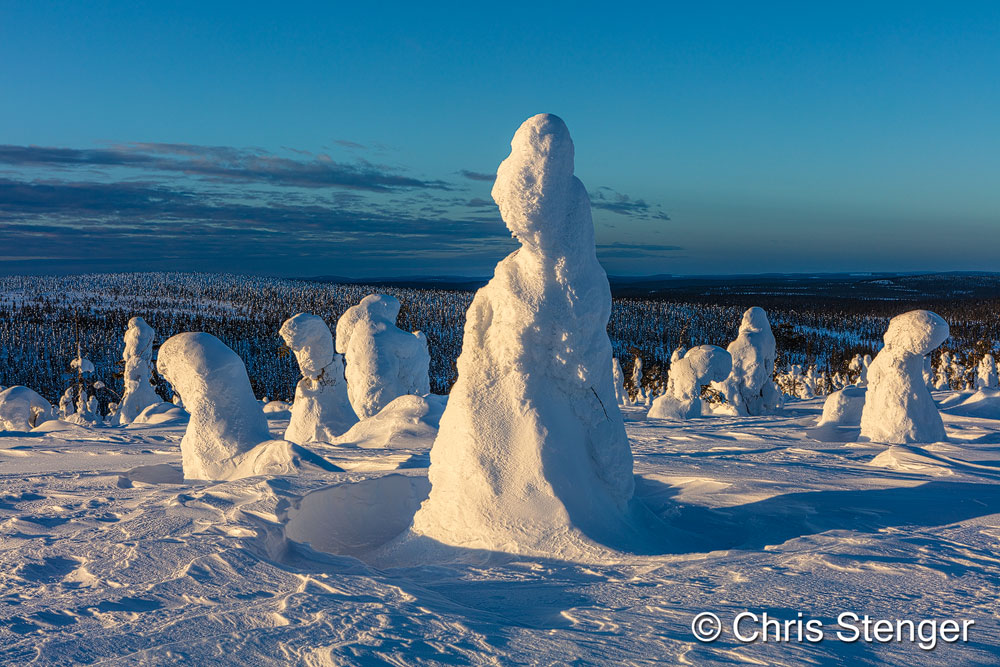 Voordat ik Finland in de winter bezocht had ik het idee dat deze bomen bedekt waren met sneeuw. Ze zijn echter niet bedekt met sneeuw, maar met een dikke, harde laag rijp. De relatief vochtige omstandigheden in dit deel van Finland zorgen ervoor dat 's winters dikke lagen rijp op de bomen worden afgezet. Ik maakte deze foto een uurtje voor zonsondergang. Canon 5DsR met 24-70mm objectief, iso 100 1/160sec bij f/10